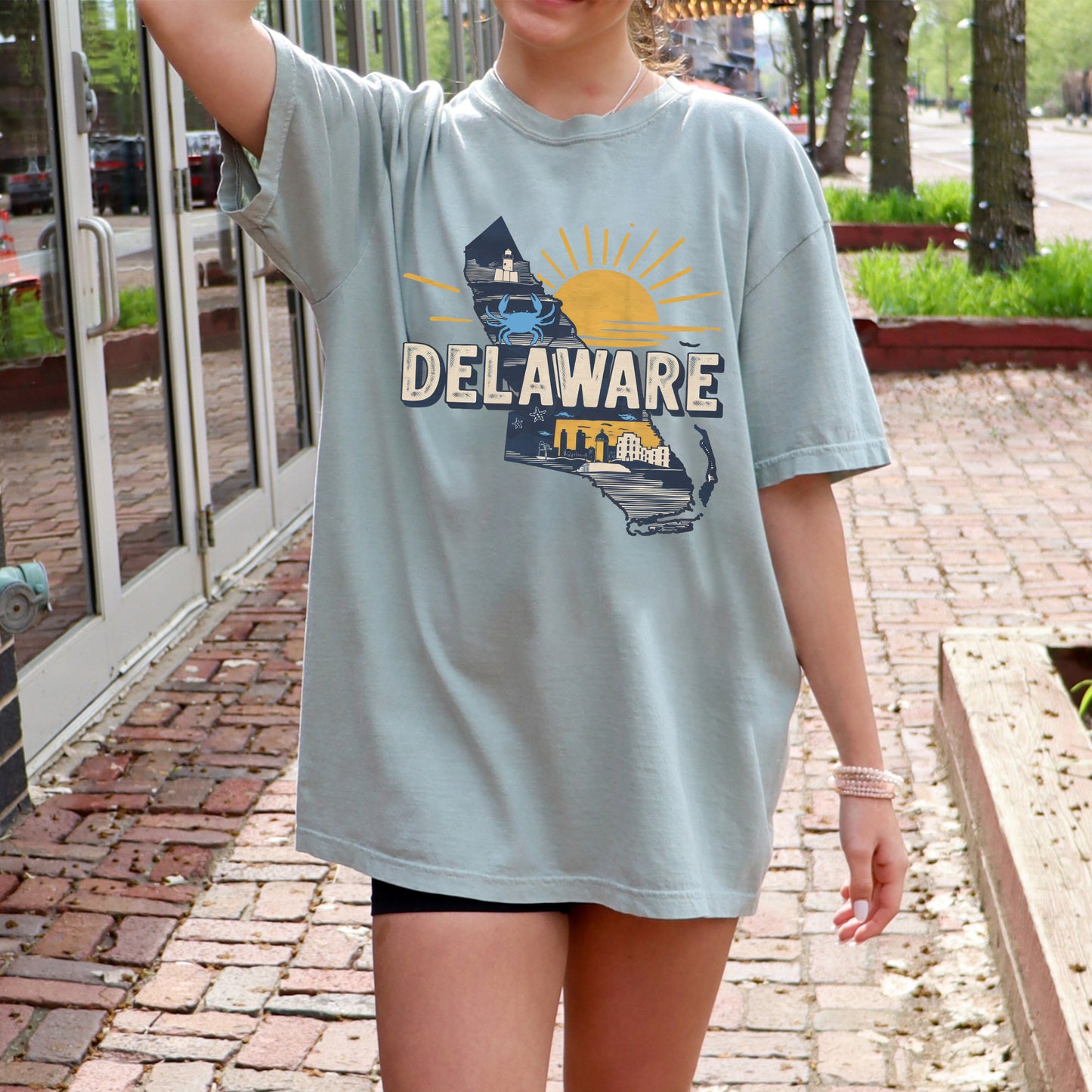 Delaware State Tshirt, Unisex