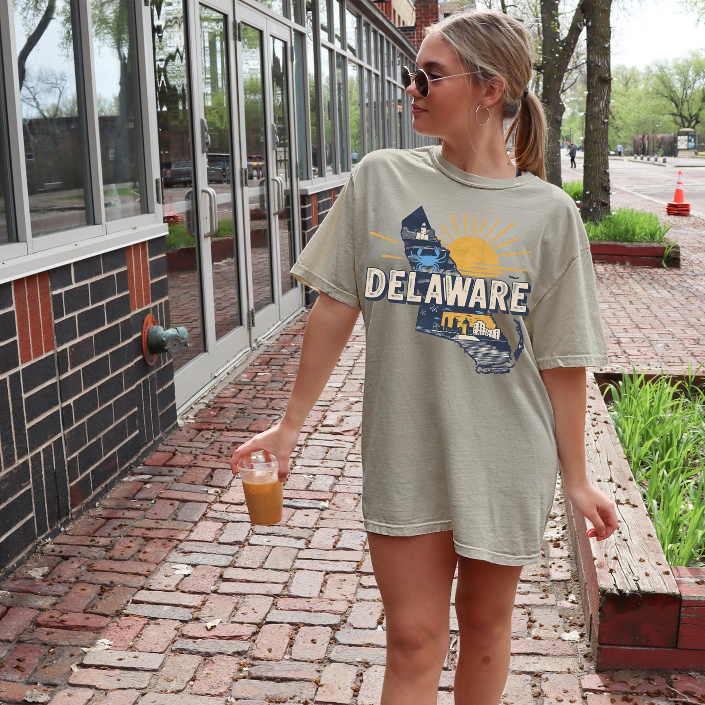 Delaware State Tshirt, Unisex